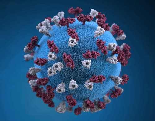 Measles cases reported in Cuyahoga County, Ohio health director urges vaccination