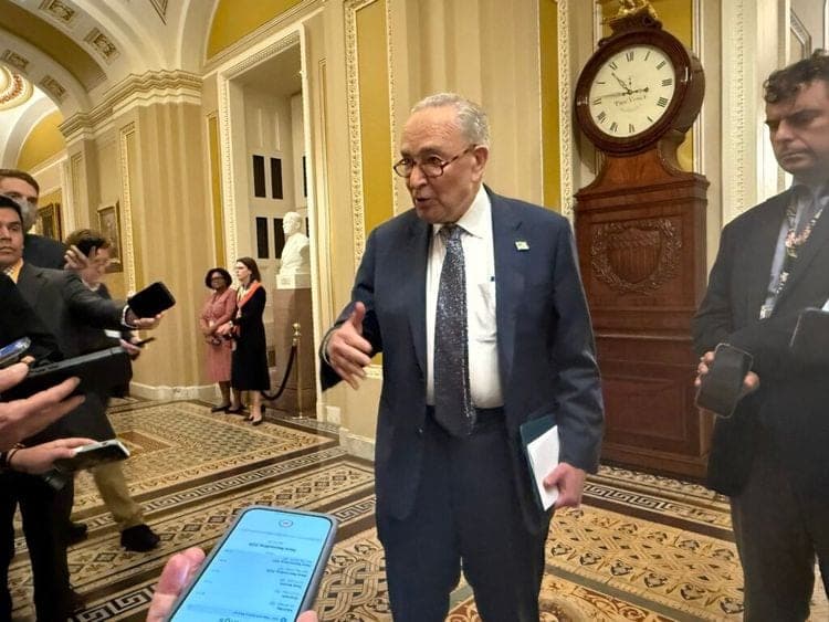 US Senate Republicans block attempt to sue Trump administration over Epstein files