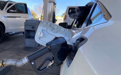 Higher gas prices could extend into next year, says Trump administration energy agency