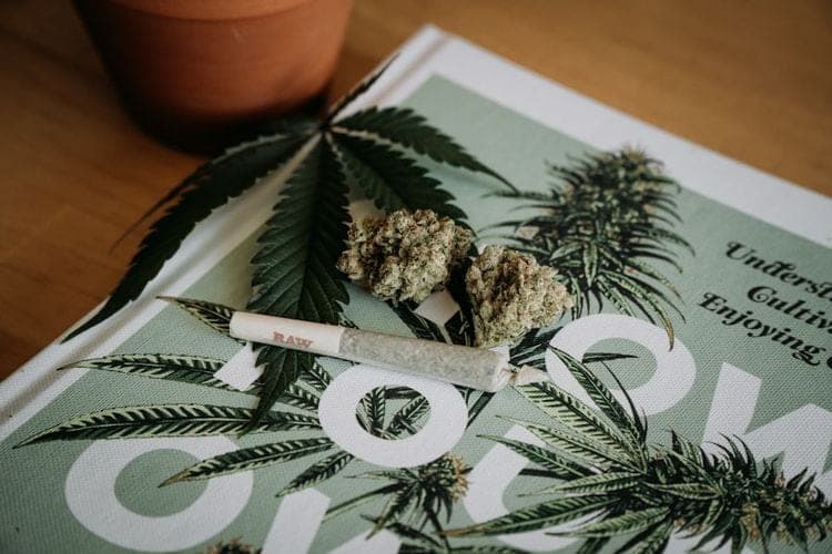 Ohio GOP proposal seeks to change voter-passed marijuana law with higher tax, lower THC levels