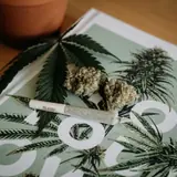 Ohio GOP proposal seeks to change voter-passed marijuana law with higher tax, lower THC levels