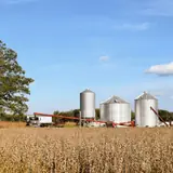 Trump has now twice devastated Ohio’s farm economy, and twice used taxpayer money for a bailout