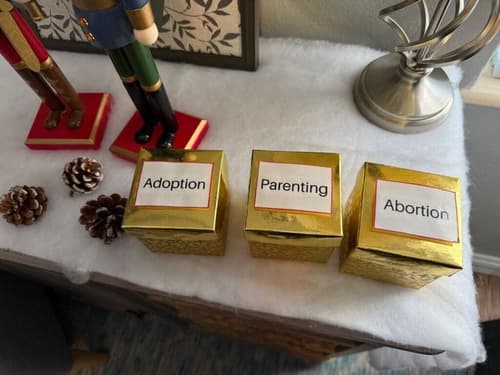 States pass laws allowing pregnancy centers to evade regulation and countersue for damages