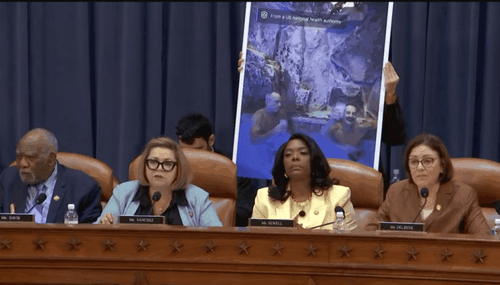 ‘Shirtless in a hot tub with Kid Rock’: Democrats in Congress question RFK Jr. priorities