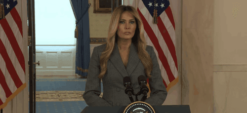 Melania Trump denounces ‘baseless lies’ connecting her to Epstein